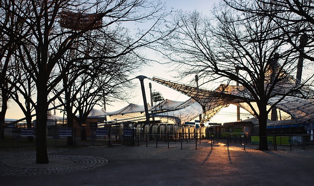 场上建立心