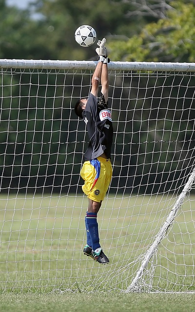 附加条款 附加条款