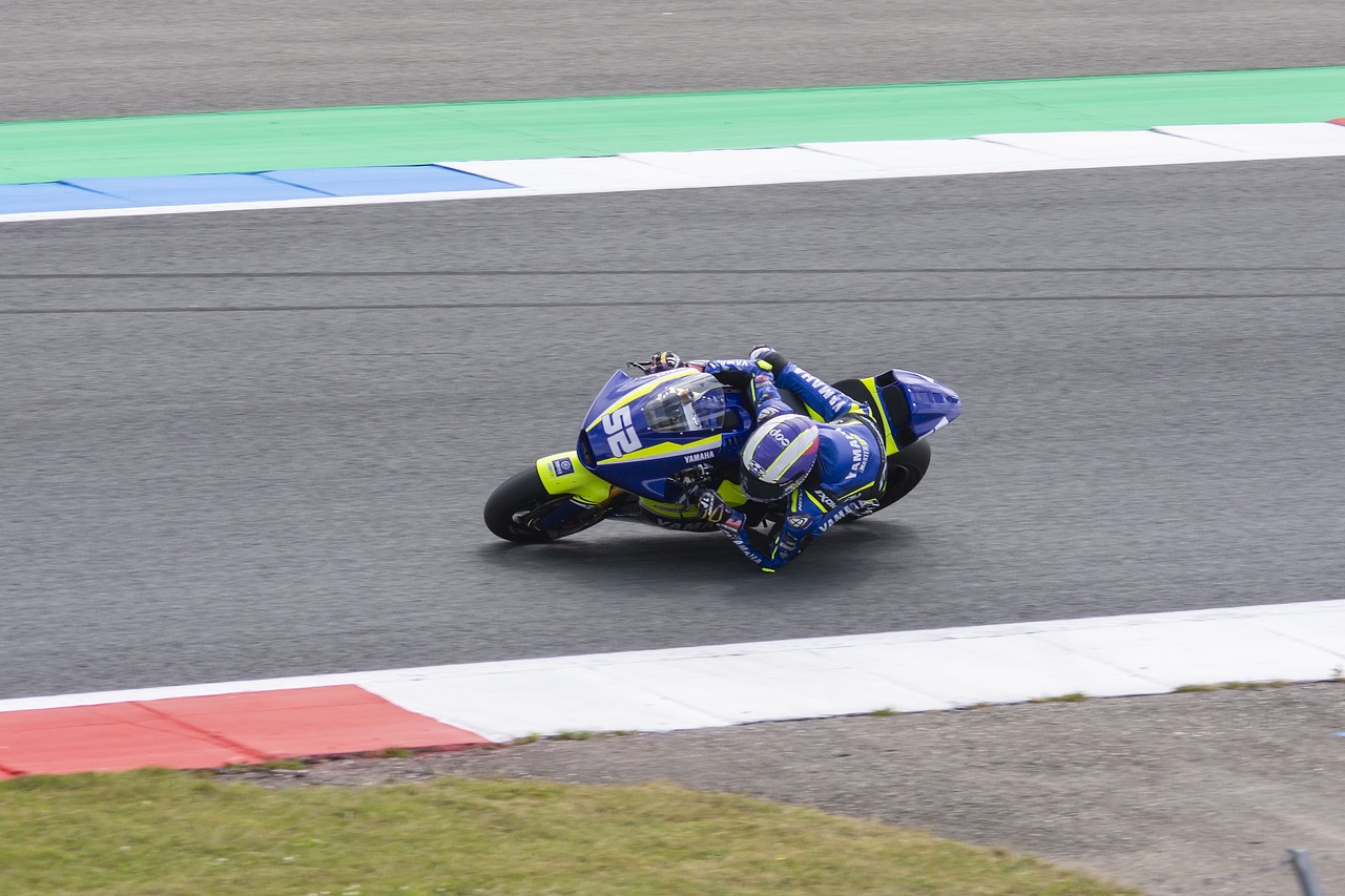 不公正的坚 不公正的坚